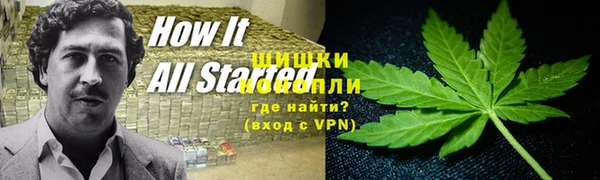 винт Алексин